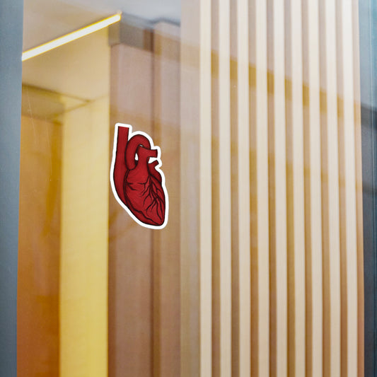 Anatomical Heart Colored Pencil Drawing Vinyl Water-Resistant Sticker